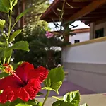 Park Village Hotell 4*