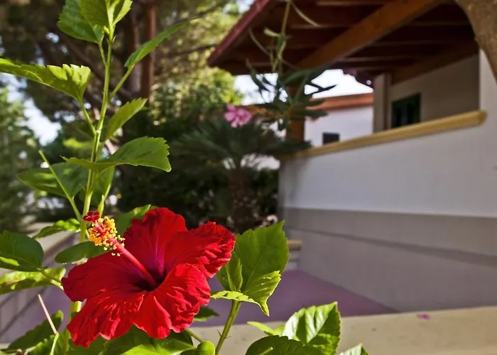 Park Village Hotel 4*